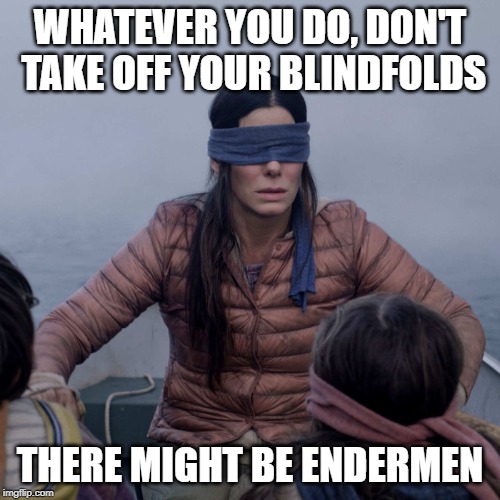 Bird Box Meme | WHATEVER YOU DO, DON'T TAKE OFF YOUR BLINDFOLDS; THERE MIGHT BE ENDERMEN | image tagged in memes,bird box | made w/ Imgflip meme maker