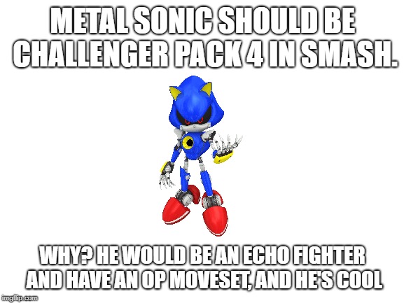 Bring a Sonic character plz! | METAL SONIC SHOULD BE CHALLENGER PACK 4 IN SMASH. WHY? HE WOULD BE AN ECHO FIGHTER AND HAVE AN OP MOVESET, AND HE'S COOL | image tagged in blank white template | made w/ Imgflip meme maker