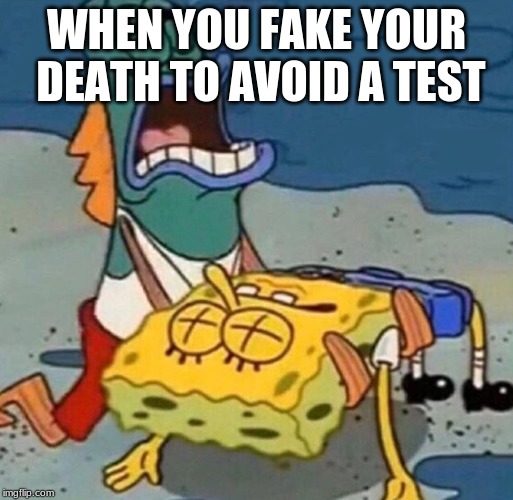 Crying Spongebob Lifeguard Fish | WHEN YOU FAKE YOUR DEATH TO AVOID A TEST | image tagged in crying spongebob lifeguard fish | made w/ Imgflip meme maker