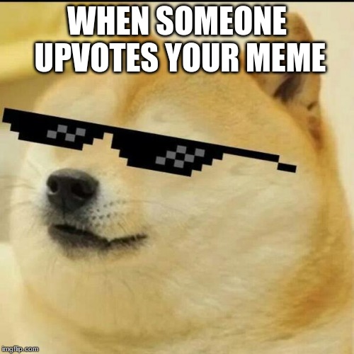 Sunglass Doge | WHEN SOMEONE UPVOTES YOUR MEME | image tagged in sunglass doge | made w/ Imgflip meme maker
