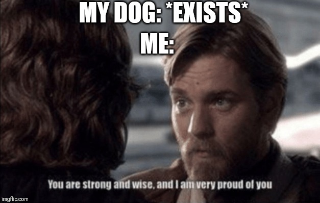 Somebody get this good boy a dog treat! | MY DOG: *EXISTS*; ME: | image tagged in you are strong and wise,dog,memes,funny | made w/ Imgflip meme maker