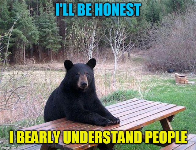 waiting bear | I'LL BE HONEST; I BEARLY UNDERSTAND PEOPLE | image tagged in waiting bear | made w/ Imgflip meme maker