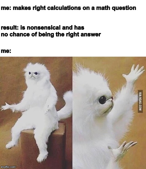 Confused Monkey / Cat | me: makes right calculations on a math question; result: is nonsensical and has no chance of being the right answer; me: | image tagged in confused monkey / cat | made w/ Imgflip meme maker