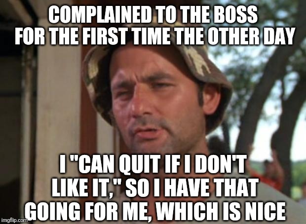 Many Options |  COMPLAINED TO THE BOSS FOR THE FIRST TIME THE OTHER DAY; I "CAN QUIT IF I DON'T LIKE IT," SO I HAVE THAT GOING FOR ME, WHICH IS NICE | image tagged in so i have that going for me,work | made w/ Imgflip meme maker