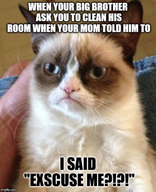 Grumpy Cat | WHEN YOUR BIG BROTHER ASK YOU TO CLEAN HIS ROOM WHEN YOUR MOM TOLD HIM TO; I SAID "EXSCUSE ME?!?!" | image tagged in memes,grumpy cat | made w/ Imgflip meme maker