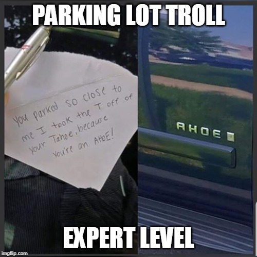 a hoe | PARKING LOT TROLL; EXPERT LEVEL | image tagged in asshole,parking | made w/ Imgflip meme maker