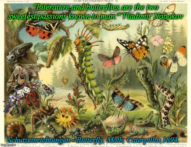 Butterflies and nature | "Literature and butterflies are the two sweetest passions known to man."
Vladimir Nabokov; Schutzeinrichtungen - Butterfly, Moth, Caterpillar,1894. | image tagged in butterflies and nature | made w/ Imgflip meme maker