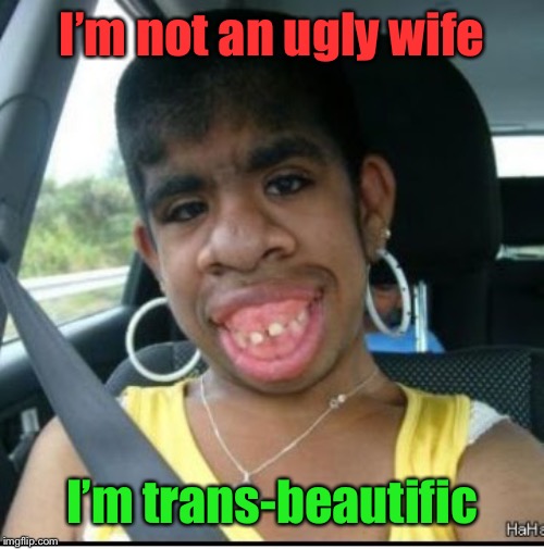 ugly girl | I’m not an ugly wife I’m trans-beautific | image tagged in ugly girl | made w/ Imgflip meme maker