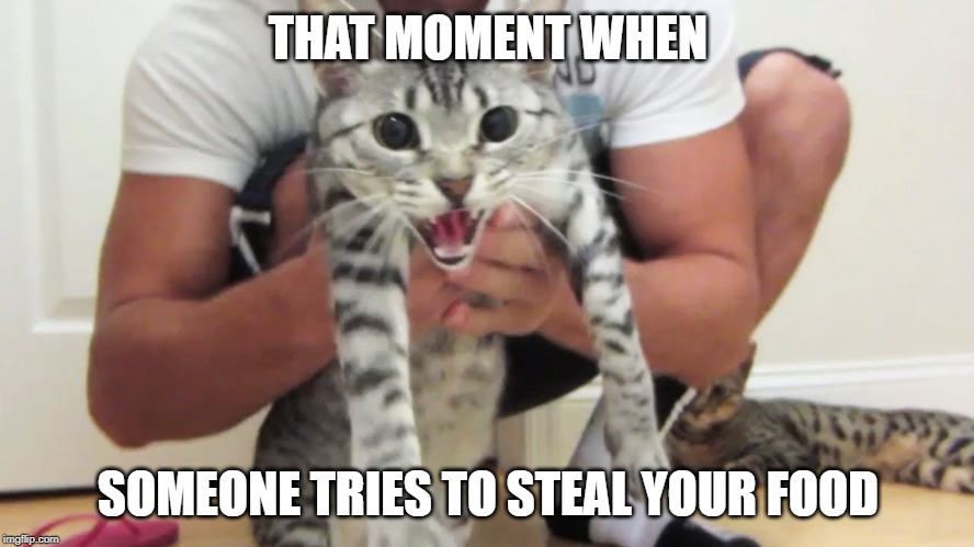 Angry Nylah | THAT MOMENT WHEN; SOMEONE TRIES TO STEAL YOUR FOOD | image tagged in angry nylah,bfvsgf,prankvsprank | made w/ Imgflip meme maker