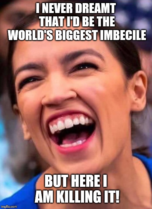 AOC Crazy Town | I NEVER DREAMT THAT I'D BE THE WORLD'S BIGGEST IMBECILE; BUT HERE I AM KILLING IT! | image tagged in aoc crazy town | made w/ Imgflip meme maker