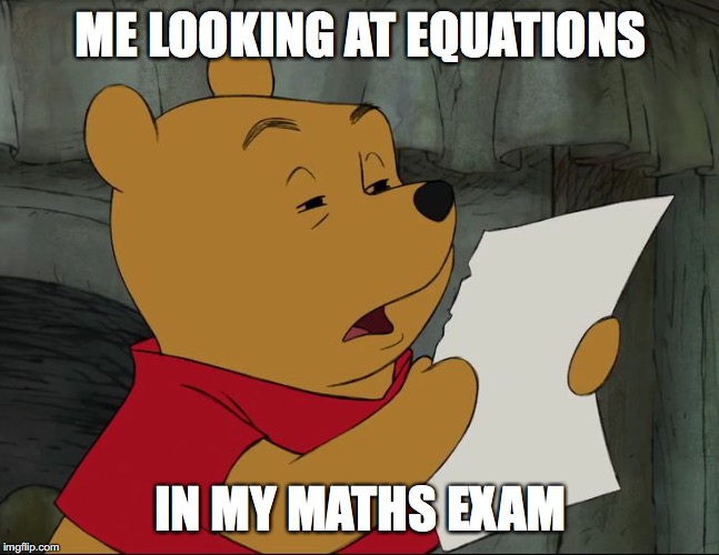 Winnie The Pooh | ME LOOKING AT EQUATIONS; IN MY MATHS EXAM | image tagged in winnie the pooh | made w/ Imgflip meme maker