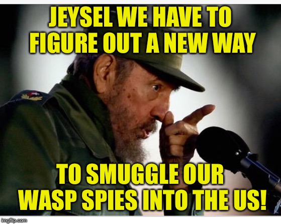 Jeysel Cuban Spy | JEYSEL WE HAVE TO FIGURE OUT A NEW WAY; TO SMUGGLE OUR WASP SPIES INTO THE US! | image tagged in jeysel cuban soy | made w/ Imgflip meme maker