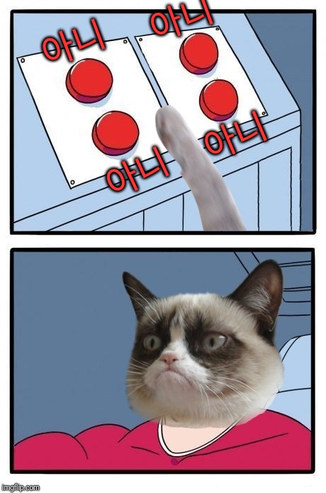아니 | 아니; 아니; 아니; 아니 | image tagged in grumpy cat four buttons,no,y u no | made w/ Imgflip meme maker
