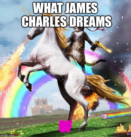 Welcome To The Internets Meme | WHAT JAMES CHARLES DREAMS; OF | image tagged in memes,welcome to the internets | made w/ Imgflip meme maker