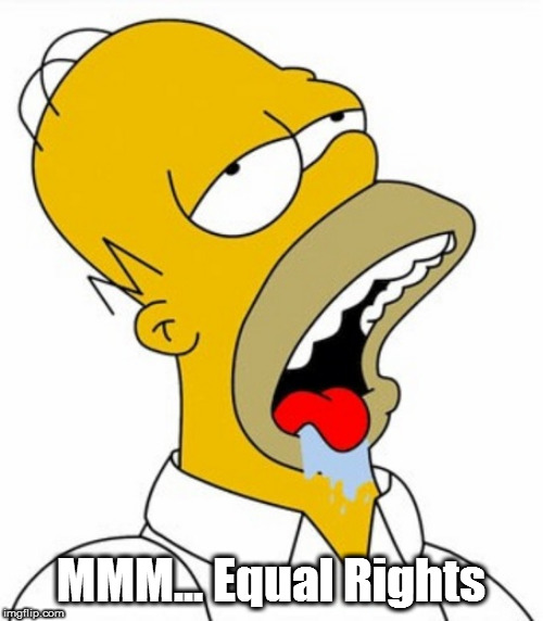 mmm...homer | MMM...
Equal Rights | image tagged in mmmhomer | made w/ Imgflip meme maker