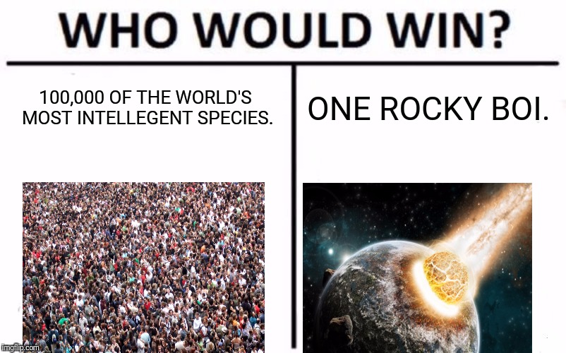 Who Would Win? Meme | 100,000 OF THE WORLD'S MOST INTELLEGENT SPECIES. ONE ROCKY BOI. | image tagged in memes,who would win | made w/ Imgflip meme maker