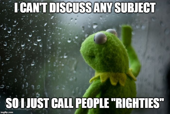 kermit window | I CAN'T DISCUSS ANY SUBJECT SO I JUST CALL PEOPLE "RIGHTIES" | image tagged in kermit window | made w/ Imgflip meme maker
