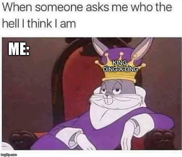 If you don’t want to know, don’t ask... | ME:; KING DING-A-LING | image tagged in surprised pikachu,surprised koala,deadpool surprised,bugs bunny crazy face,bad bugs bunny pun,memes | made w/ Imgflip meme maker