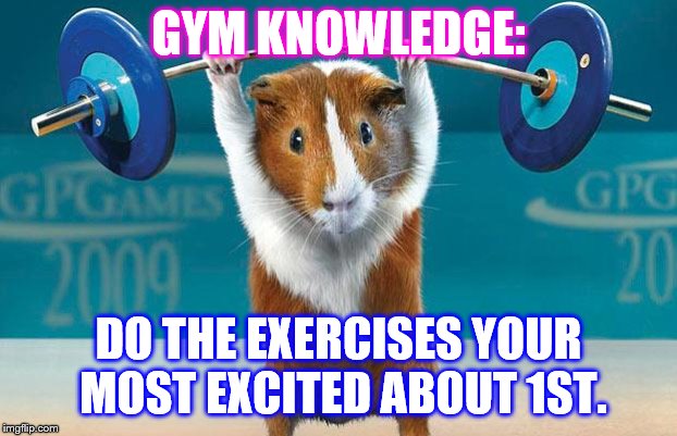 gym knowledge | GYM KNOWLEDGE:; DO THE EXERCISES YOUR MOST EXCITED ABOUT 1ST. | image tagged in funny exercise,gymlife | made w/ Imgflip meme maker