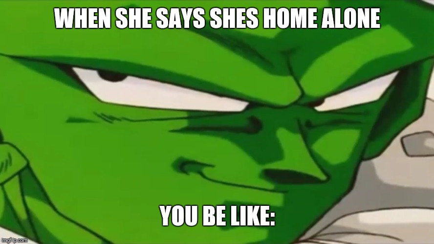 WHEN SHE SAYS SHES HOME ALONE; YOU BE LIKE: | image tagged in piccolo,smile | made w/ Imgflip meme maker