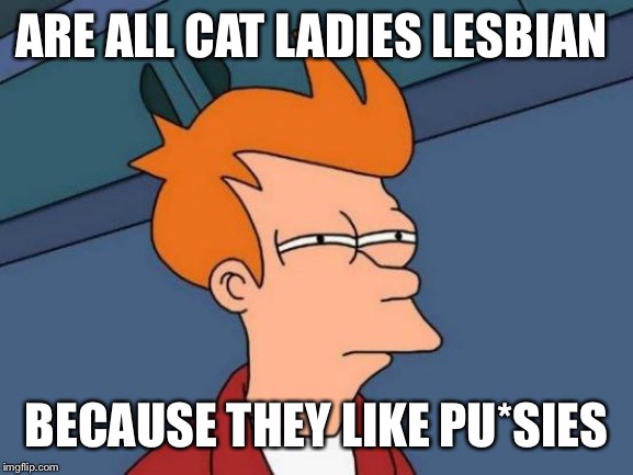 Futurama Fry | ARE ALL CAT LADIES LESBIAN; BECAUSE THEY LIKE PU*SIES | image tagged in memes,futurama fry | made w/ Imgflip meme maker