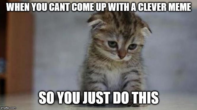 Sad kitten | WHEN YOU CANT COME UP WITH A CLEVER MEME; SO YOU JUST DO THIS | image tagged in sad kitten | made w/ Imgflip meme maker