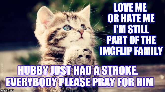 Need Prayers And Spells Please |  LOVE ME OR HATE ME I'M STILL PART OF THE IMGFLIP FAMILY; HUBBY JUST HAD A STROKE.  EVERYBODY PLEASE PRAY FOR HIM | image tagged in praying cat,stroke,husband,praying,pray,memes | made w/ Imgflip meme maker