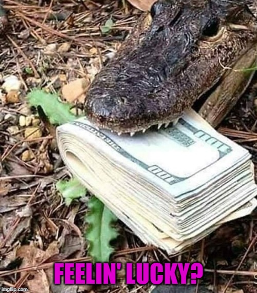 I would risk it somehow! | FEELIN' LUCKY? | image tagged in alligator cash,memes,feelin' lucky,funny,worth the risk,temptation | made w/ Imgflip meme maker