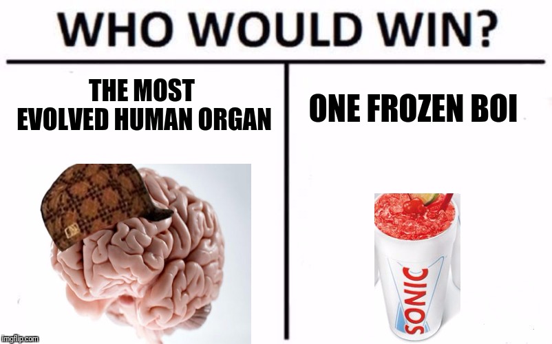 Who Would Win? Meme | THE MOST EVOLVED HUMAN ORGAN; ONE FROZEN BOI | image tagged in memes,who would win | made w/ Imgflip meme maker