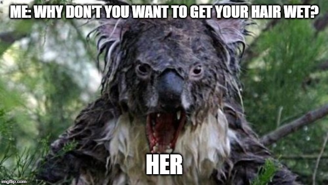 Angry Koala Meme | ME: WHY DON'T YOU WANT TO GET YOUR HAIR WET? HER | image tagged in memes,angry koala | made w/ Imgflip meme maker