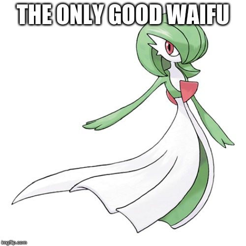 THE ONLY GOOD WAIFU | made w/ Imgflip meme maker