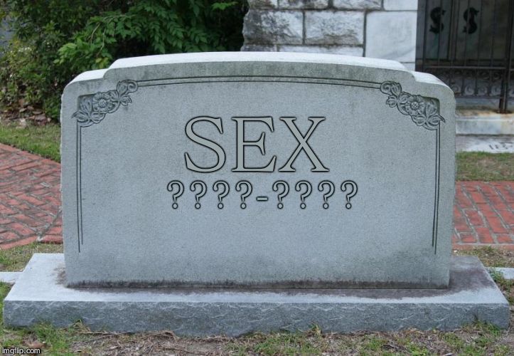 Gravestone | SEX; ????-???? | image tagged in gravestone | made w/ Imgflip meme maker