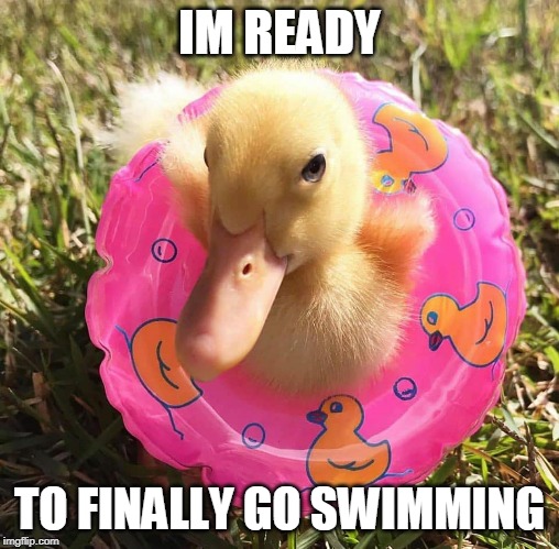 DUCK FLOAT | IM READY; TO FINALLY GO SWIMMING | image tagged in duckling float,duck,duckling,funny | made w/ Imgflip meme maker