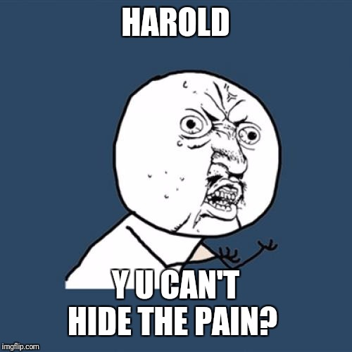 Y U No Meme | HAROLD Y U CAN'T HIDE THE PAIN? | image tagged in memes,y u no | made w/ Imgflip meme maker