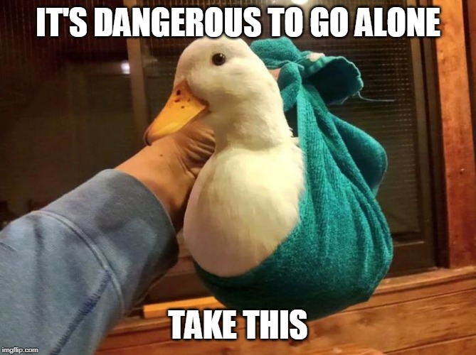ZELDA ITEM | IT'S DANGEROUS TO GO ALONE; TAKE THIS | image tagged in duck package,duck,ducks,funny,zelda | made w/ Imgflip meme maker