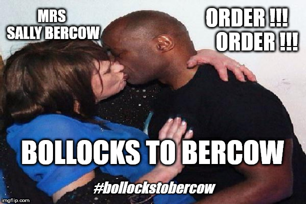Bollocks for Mrs Bercow? | ORDER !!!     ORDER !!! MRS SALLY BERCOW; BOLLOCKS TO BERCOW; #bollockstobercow | image tagged in remoaners,brexiteers,brexit,house of commons,speaker of the house,funny | made w/ Imgflip meme maker