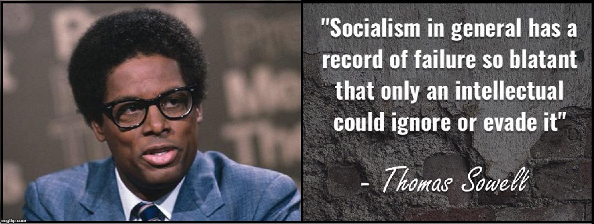 Irony and Wisdom —all at the same time | image tagged in vince vance,conservatism,thomas sowell,socialism,liberal vs conservative,african american bkack | made w/ Imgflip meme maker