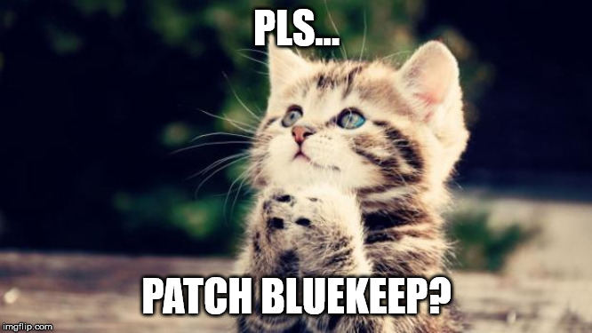 Cute kitten |  PLS... PATCH BLUEKEEP? | image tagged in cute kitten | made w/ Imgflip meme maker