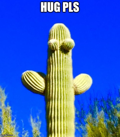 Huggy Cactus  | HUG PLS | image tagged in huggy cactus | made w/ Imgflip meme maker