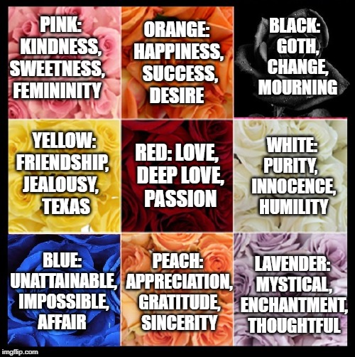 Vince's Color of the Rose and their Meaning | BLACK:  GOTH,  CHANGE,  MOURNING; ORANGE: HAPPINESS, 
SUCCESS,  DESIRE; PINK: KINDNESS,
 SWEETNESS,    
FEMININITY; WHITE: PURITY,   INNOCENCE,   HUMILITY; RED: LOVE,  DEEP LOVE,    PASSION; YELLOW: FRIENDSHIP,   JEALOUSY,         TEXAS; LAVENDER: MYSTICAL, ENCHANTMENT, THOUGHTFUL; PEACH: APPRECIATION, GRATITUDE, SINCERITY; BLUE: UNATTAINABLE, IMPOSSIBLE,  AFFAIR | image tagged in vince vance,meaning,color,roses are red violets are are blue,flowers,love | made w/ Imgflip meme maker