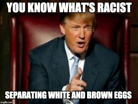 put your eggs in one basket, racist | YOU KNOW WHAT'S RACIST; SEPARATING WHITE AND BROWN EGGS | image tagged in donald trump,eggs,racism | made w/ Imgflip meme maker