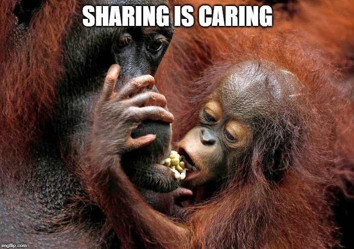 SHARING IS CARING | made w/ Imgflip meme maker