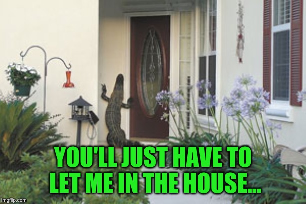 YOU'LL JUST HAVE TO LET ME IN THE HOUSE... | made w/ Imgflip meme maker