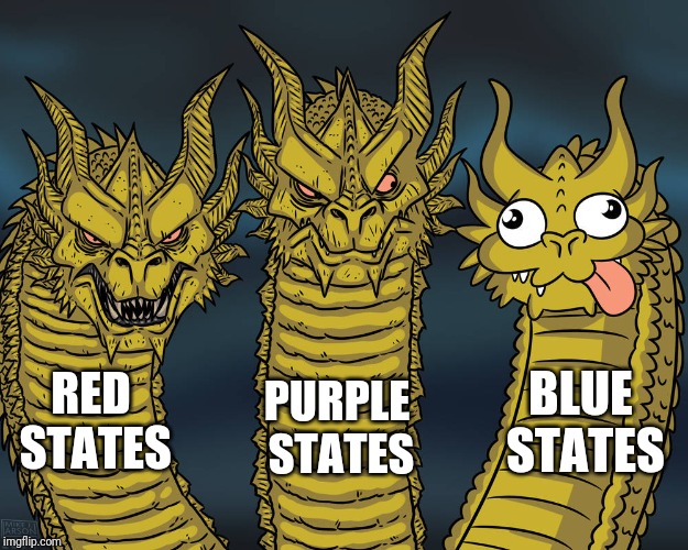 Purple is questioning blue at this point | BLUE STATES; RED STATES; PURPLE STATES | image tagged in liberals,conservatives,democrats,republicans,trump | made w/ Imgflip meme maker