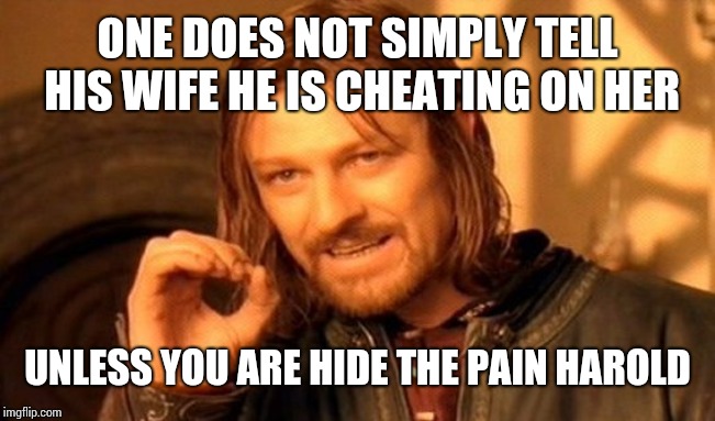 One Does Not Simply Meme | ONE DOES NOT SIMPLY TELL HIS WIFE HE IS CHEATING ON HER UNLESS YOU ARE HIDE THE PAIN HAROLD | image tagged in memes,one does not simply | made w/ Imgflip meme maker