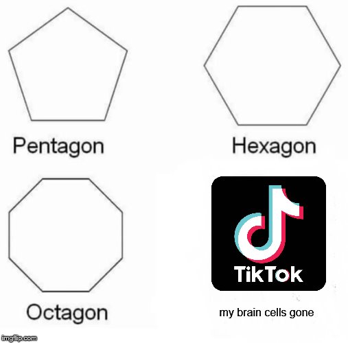 Scientists find out that tik tok kills brain cells | my brain cells gone | image tagged in memes,pentagon hexagon octagon | made w/ Imgflip meme maker