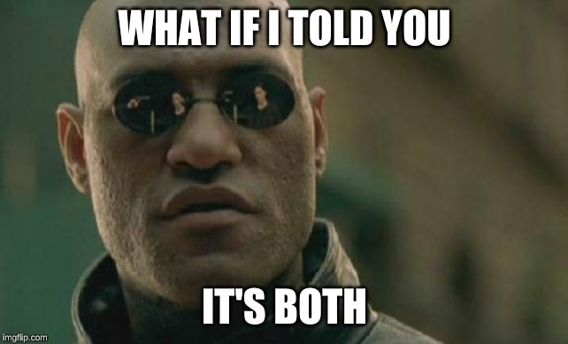 Matrix Morpheus Meme | WHAT IF I TOLD YOU IT'S BOTH | image tagged in memes,matrix morpheus | made w/ Imgflip meme maker