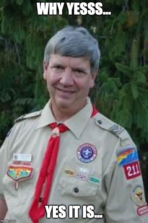 Harmless Scout Leader Meme | WHY YESSS... YES IT IS... | image tagged in memes,harmless scout leader | made w/ Imgflip meme maker