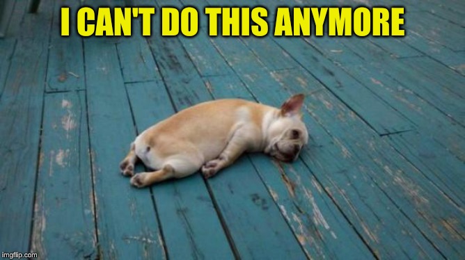 tired dog | I CAN'T DO THIS ANYMORE | image tagged in tired dog | made w/ Imgflip meme maker