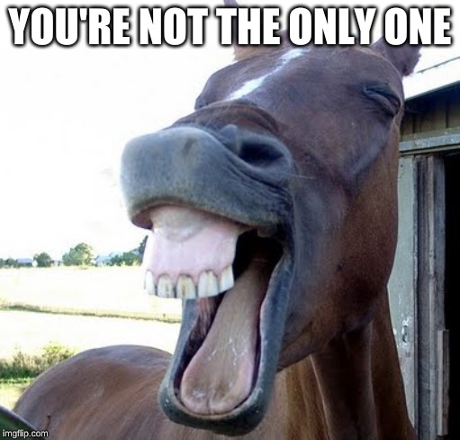 horse laugh | YOU'RE NOT THE ONLY ONE | image tagged in horse laugh | made w/ Imgflip meme maker